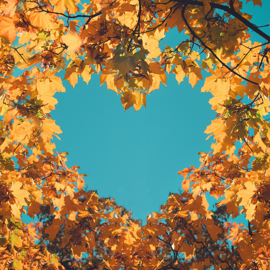 Der trockene Mund im Herbst und wie du ihn schützt