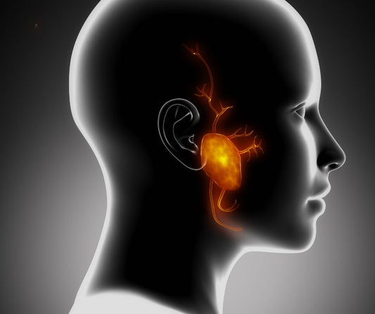 Mundtrockenheit ist mehr als nur ein unangenehmes Gefühl – sie kann die Entstehung einer Parotitis begünstigen. 