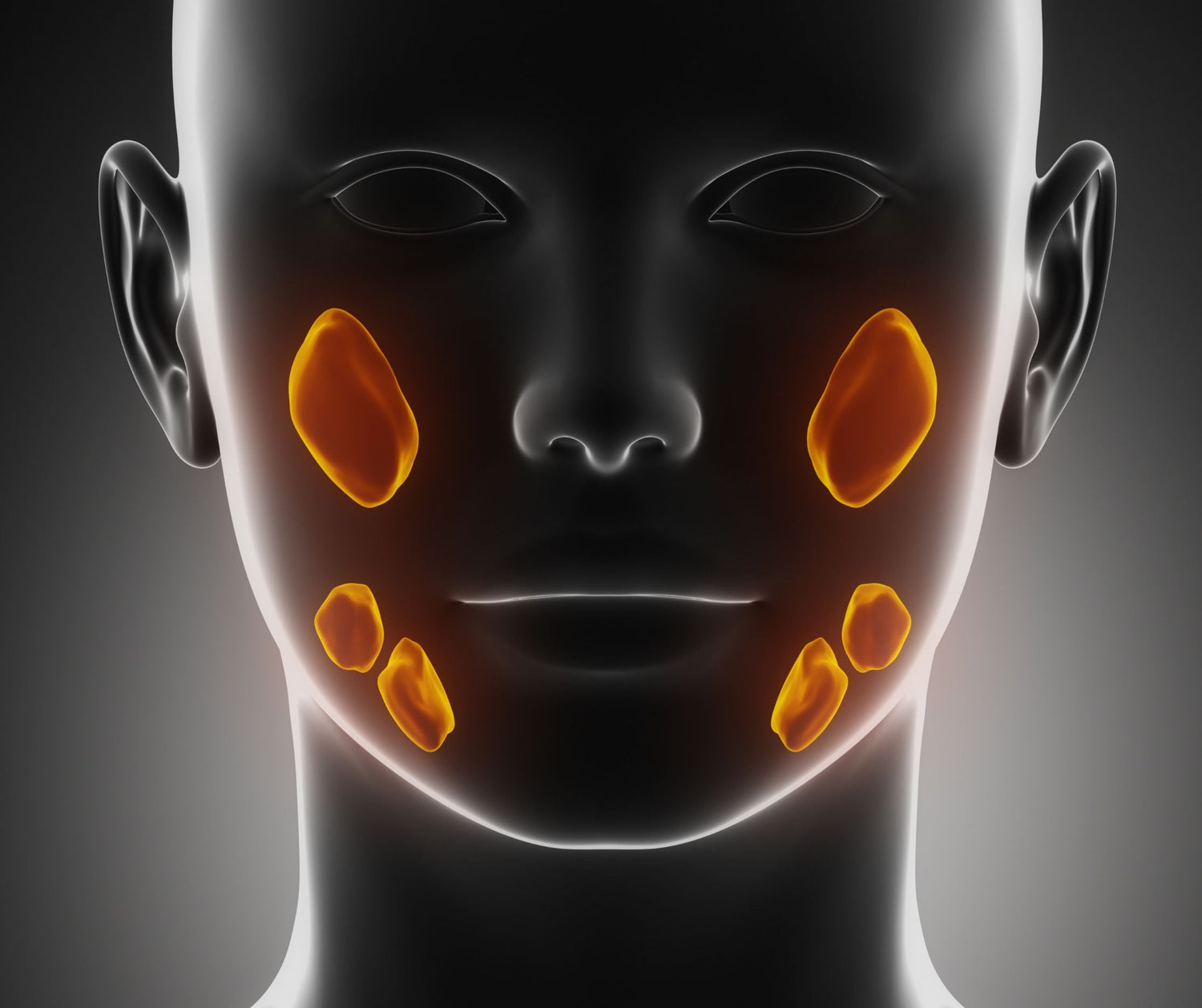 Denn ein gesunder Mund beginnt auf Zellebene – und genau dort entscheidet sich, ob wir uns dauerhaft wohlfühlen.