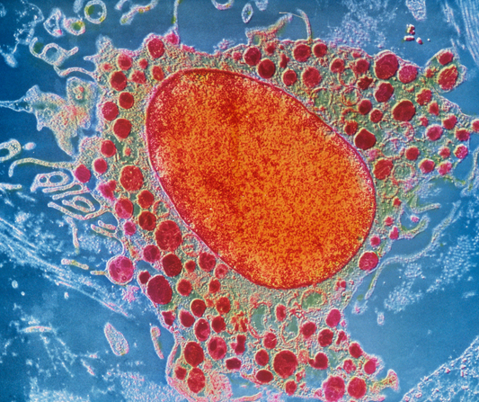 Entzündungen der Mundschleimhaut sind unangenehm, lassen sich aber meist gut verhindern und behandeln. 